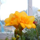 하늘바다 이미지