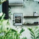 고사리맨션 이미지