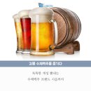힐링비어존 이미지