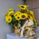 태림하이츠빌라 이미지