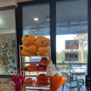 스파벨리스 | 🍊제주도 2일차 | 귤따기체험,제주 민속촌, 한옥독채펜션🛖