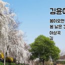 김윤아 노래 네곡 이미지