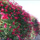 맑음터공원-B 이미지