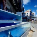 바가지·오징어 난전 논란 뒤…무너지는 속초 대포항﻿ 이미지