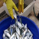 문갑도 마을공동체 영농조합법인 이미지