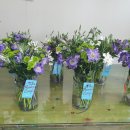 원플라워 이미지