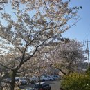 원용당경로당 이미지