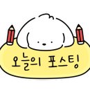 아레나 게임랜드 이미지