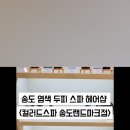 컬러드스파 이미지