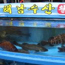 해남공원 앞 이미지