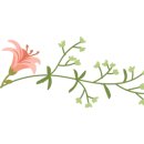 피아트라