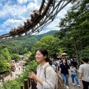 장전미술관(휴관) | 8월 여름휴가에 꼭 가야 할 수도권 여름 가볼만한곳 과천 서울랜드 워터워즈 이용시간 및 준비물 주차...