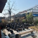 편안농장 이미지