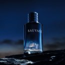 디올 그루밍 이미지