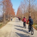 을숙도자전거문화체험협동조합 이미지