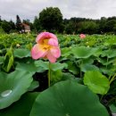 송우리터미널 버스정류장(40117) 이미지