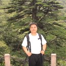 우슈쿵후 이미지