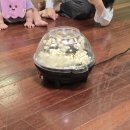 홈플러스더데이걸;유솔 | 송탄 홈플러스 문화센터 / 까르까르 여름학기 수업 후기(4~6회차)