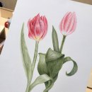 아름다운 꽃 그림 보타니컬아트 이미지