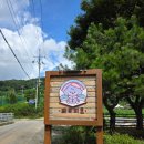 레티피코 이미지