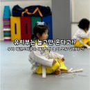 태권도 다움 이미지