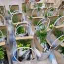 동구초등학교(병설) 이미지