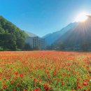 상동읍 cu맞은편 이미지