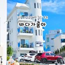 해변펜션 | 강원도 강릉 사근진해변 숙소 가성비 펜션 추천 내돈내산 후기