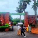 더벤티고양동산점 | 제주 가볼만한곳 제주허브동산 | 7월 수국 정원과 족욕체험 솔직 후기