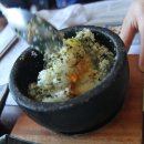 대포해송 이미지