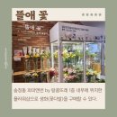뜰애꽃 이미지