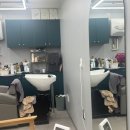 수헤어 | 학동 미용실 1981 수헤어 내돈내산 후기