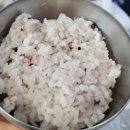 양이식당 이미지