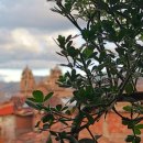 41190-01-07-357 | 페루 쿠스코여행 10만원 이하 가성비갑 숙소 추천 나오 빅토리아 호스텔 내돈내산 솔직 후기