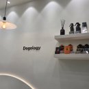 텐즈힐 애견미용 이미지