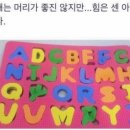 (주)블루스파 이미지