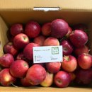 원민농장 이미지