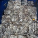 쭈꾸미스타 이미지