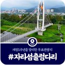 출렁다리 공중화장실 | [가평 자라섬 출렁다리] 남도 꽃축제와 함께 즐기는 가을 무료 여행지 추천 (2025)