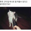 쑈유족발 이미지