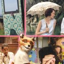 pet52나5263 이미지