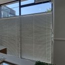 동성초등학교 이미지