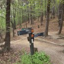 세븐일레븐 관악공원점 | 이름만 둘레길인 등산코스 서울둘레길 12코스 11코스 난이도 시간