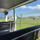 드림골프연습장 이미지