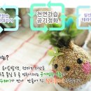 옥포초등학교 병설유치원 네이버블로그