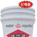 이새수성 이미지
