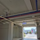 이탈리안피자팩토리목동역점 | 루아앤티그리 광복점 - 피자, 뷰, 맛, 주차 솔직리뷰 <내돈내산>