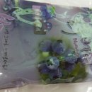 태수농장 이미지