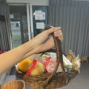 펫티움애견펜션 이미지