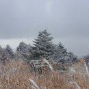 공공용 35 이미지